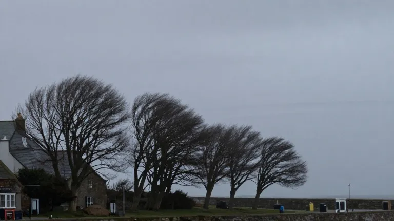 Illustration for: Storm Boelo: Northern UK faces 80mph gusts and rail disruptions
